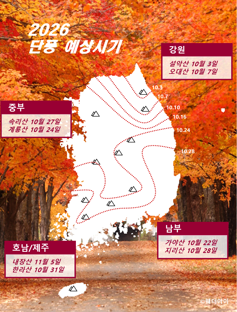 first_maple_2019 first_maple_2026.PNG