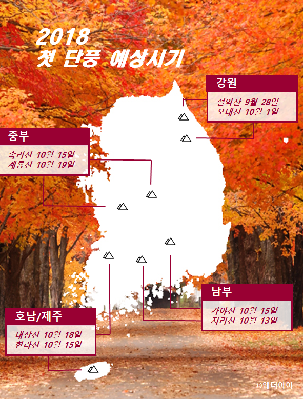 first_maple_2017 first_maple_2018.PNG