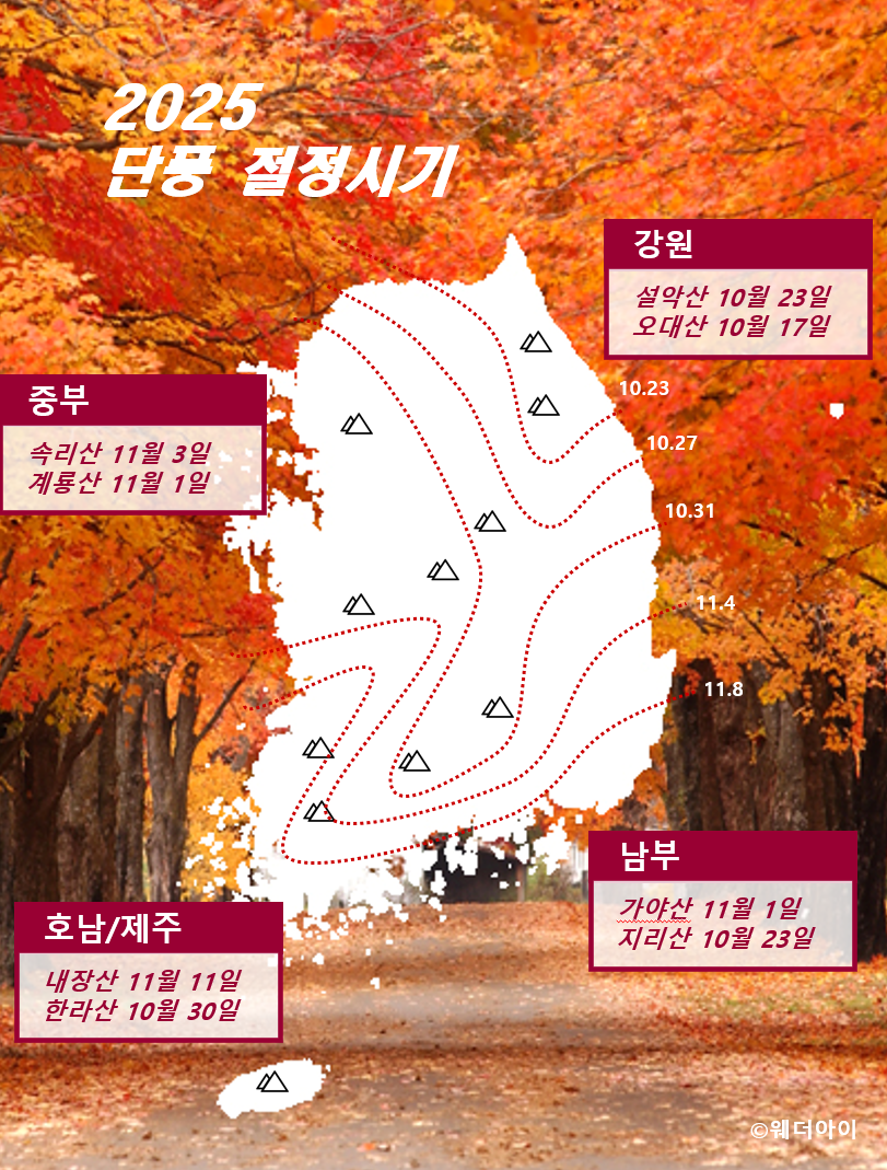 maple_2019 maple_2025.PNG