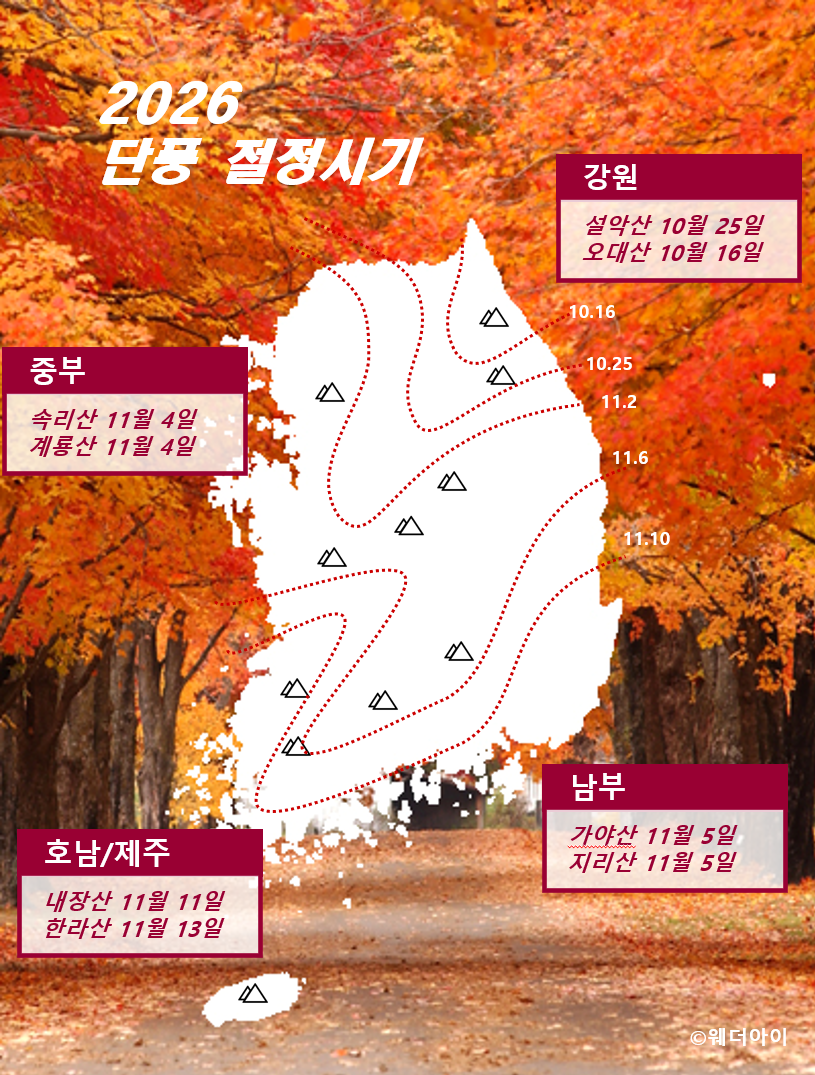 maple_2019 maple_2026.PNG