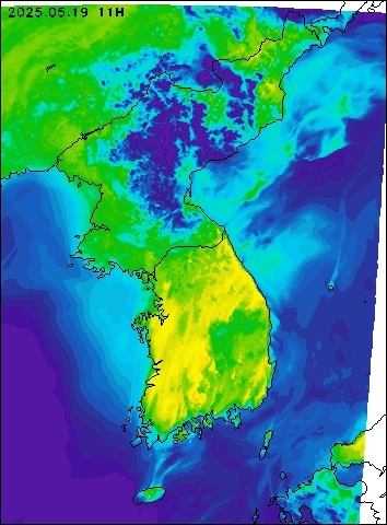 2025-05-19 11 : 00