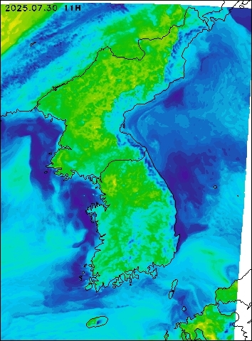 2025-07-30 11 : 00