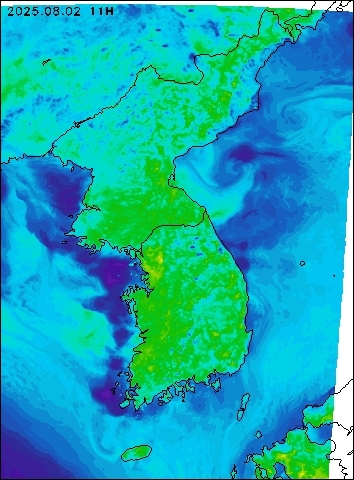 2025-08-02 11 : 00