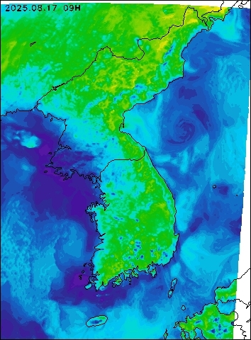 2025-08-17 09 : 00