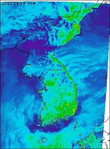 2025-08-19 11 : 00