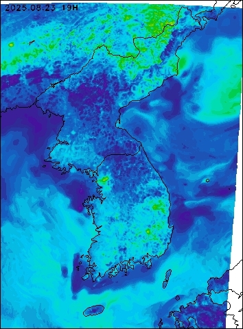 2025-08-23 19 : 00
