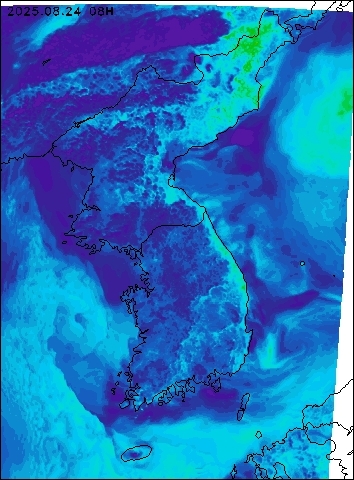 2025-08-24 08 : 00