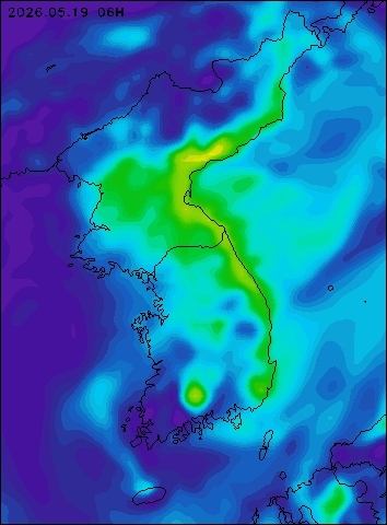 2026-05-19 06 : 00
