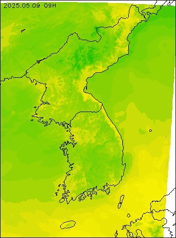 2025-05-09 09 : 00