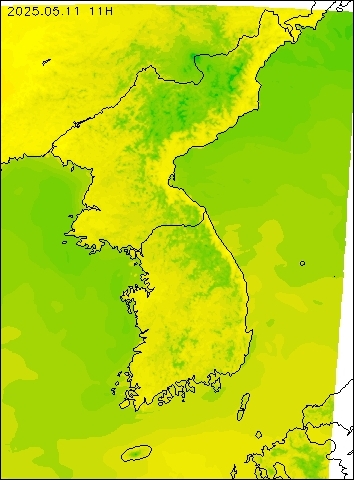 2025-05-11 11 : 00