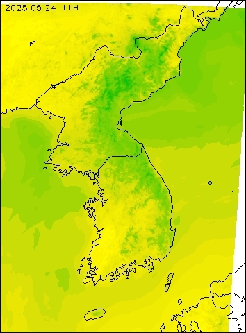 2025-05-24 11 : 00
