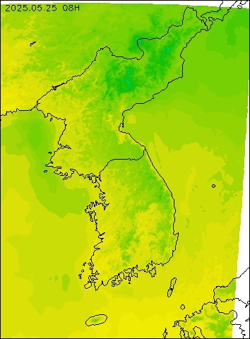 2025-05-25 08 : 00