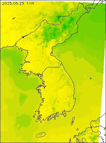 2025-05-25 11 : 00