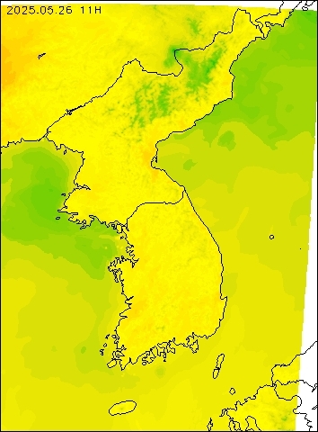 2025-05-26 11 : 00