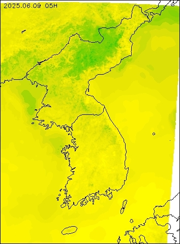 2025-06-09 05 : 00