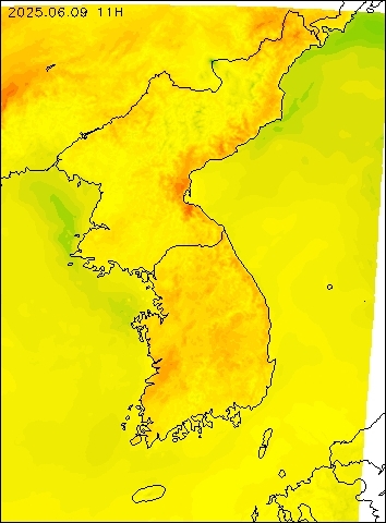 2025-06-09 11 : 00