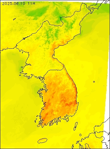 2025-06-10 11 : 00