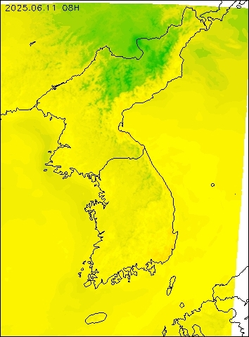 2025-06-11 08 : 00