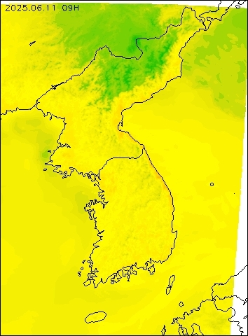 2025-06-11 09 : 00
