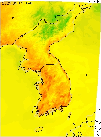 2025-06-11 14 : 00