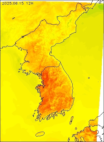 2025-06-15 12 : 00