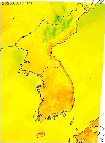 2025-06-17 11 : 00