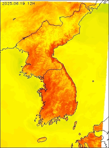 2025-06-19 12 : 00