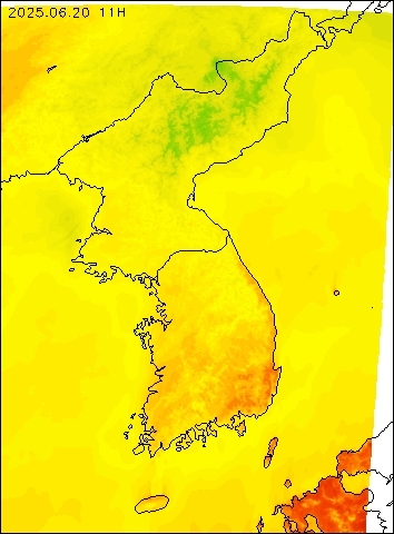 2025-06-20 11 : 00