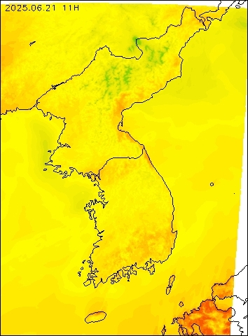 2025-06-21 11 : 00
