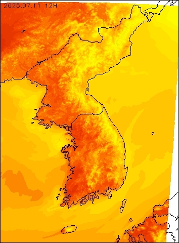 2025-07-11 12 : 00