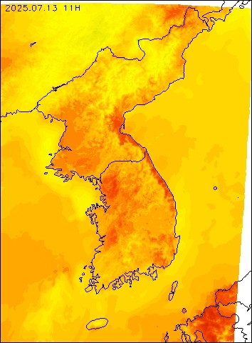 2025-07-13 11 : 00