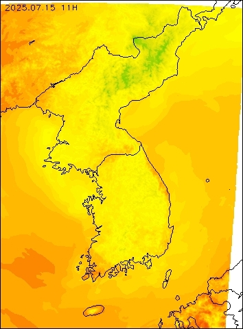 2025-07-15 11 : 00