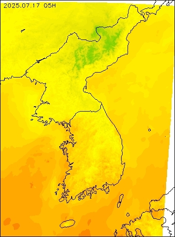 2025-07-17 05 : 00