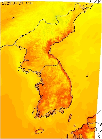 2025-07-21 11 : 00