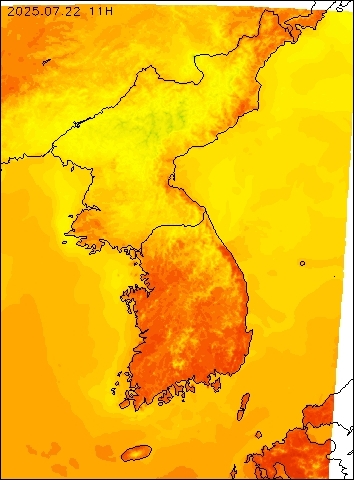 2025-07-22 11 : 00