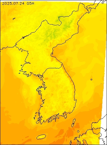 2025-07-24 05 : 00