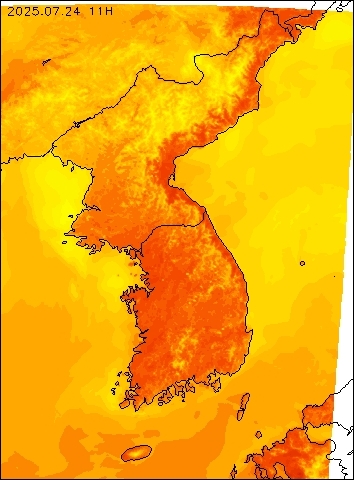 2025-07-24 11 : 00
