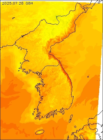 2025-07-28 08 : 00