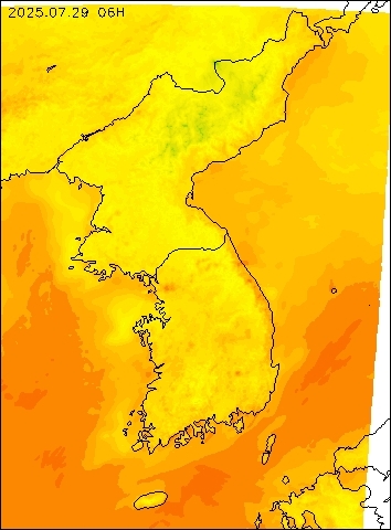 2025-07-29 06 : 00