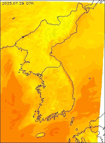 2025-07-29 07 : 00