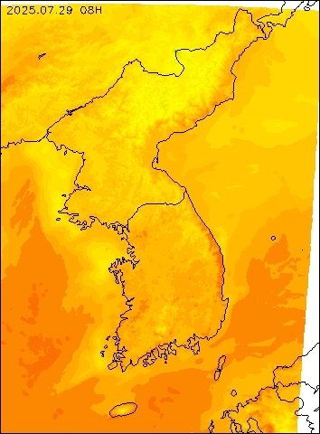 2025-07-29 08 : 00