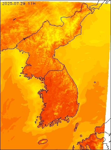 2025-07-29 11 : 00