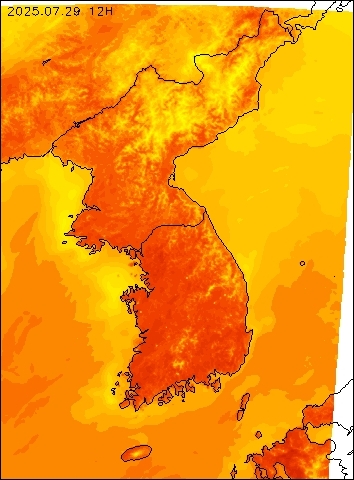 2025-07-29 12 : 00