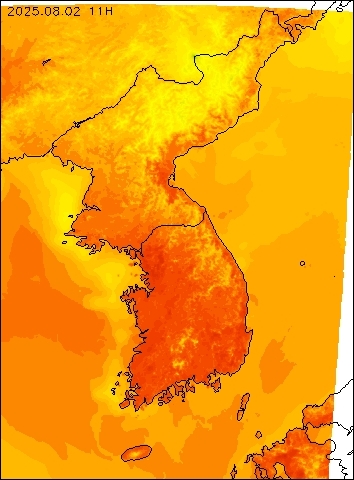 2025-08-02 11 : 00