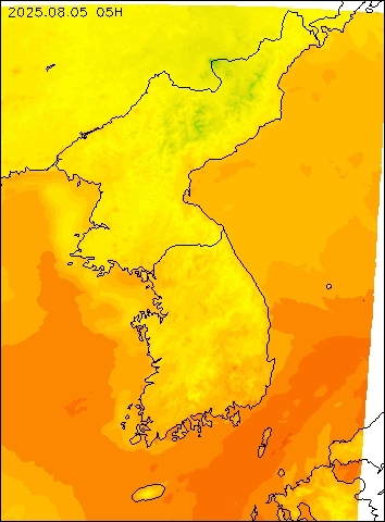 2025-08-05 05 : 00