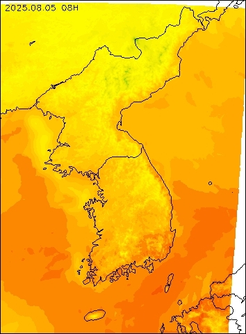 2025-08-05 08 : 00