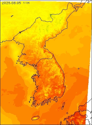 2025-08-05 11 : 00