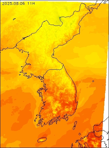 2025-08-06 11 : 00
