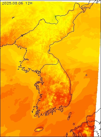 2025-08-06 12 : 00