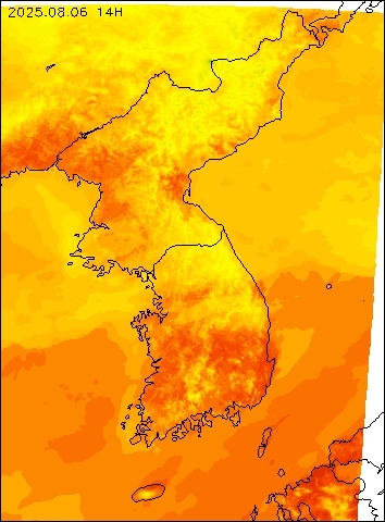 2025-08-06 14 : 00